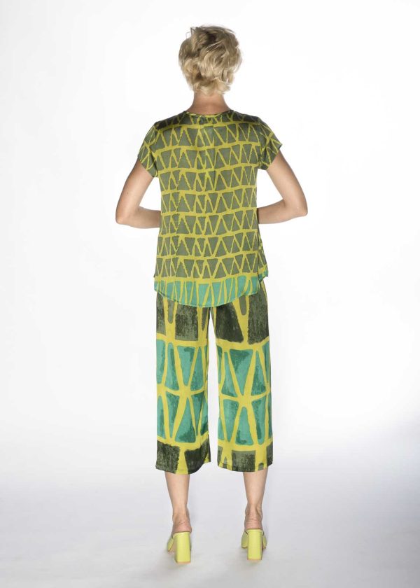 Oxalis Blusa - immagine 4